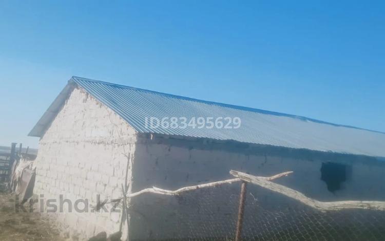 Сельское хозяйство • 30 м² за 100 млн 〒 в Баканасе — фото 3