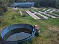 Дача · 4 комнаты · 70 м² · 6 сот., Родник за 11.5 млн ₸ в Усть-Каменогорске — фото 8
