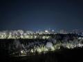 2-комнатная квартира · 55 м² · 9/12 этаж, Байдибек би 115/10 — Парк Байдибек Би, Зоопарк за 280 000 〒 в Шымкенте, Абайский р-н — фото 10