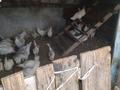 Жеке үй · 4 бөлме · 100 м² · 30 жүзд., Рыскулова 15А, бағасы: 15.9 млн ₸ в  — фото 9