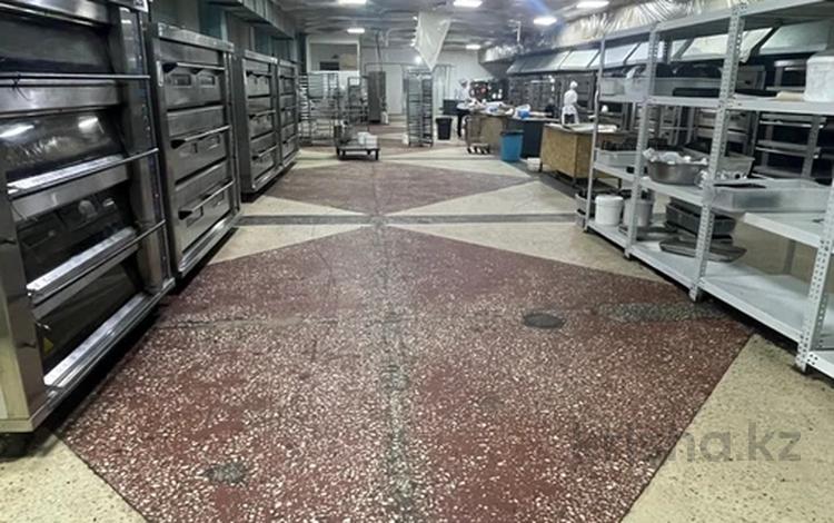 Еркін, қоғамдық тамақтану орны · 1100 м², бағасы: 3.3 млн ₸ в Алматы, Медеуский р-н — фото 2