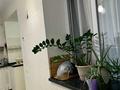 3-комнатная квартира · 93 м² · 4/5 этаж, 7-й мкр 17 за 250 000 ₸ в Актау — фото 16
