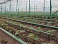 Сельское хозяйство • 1500 м² за 250 000 〒 в Талдыбулаке