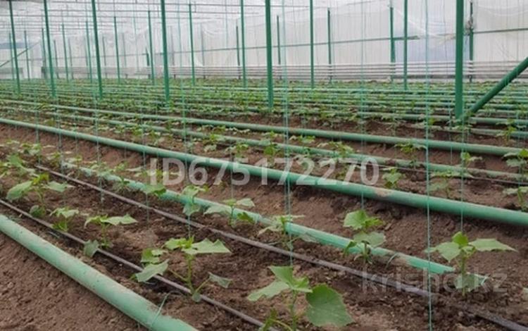Сельское хозяйство • 1500 м² за 250 000 〒 в Талдыбулаке — фото 2