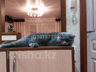 3-комнатная квартира · 64.8 м² · 6/6 этаж, 50 лет Октября 102г — Поликлиника №1 и магазин Универсам за 17 млн ₸ в Рудном