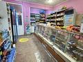 Магазины и бутики · 258 м² за 70 млн ₸ в Караганде, Казыбек би р-н — фото 7