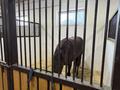 Свободное назначение, сельское хозяйство, бани, гостиницы и зоны отдыха, развлечения · 1500 м² за 550 млн ₸ в Алматы — фото 8