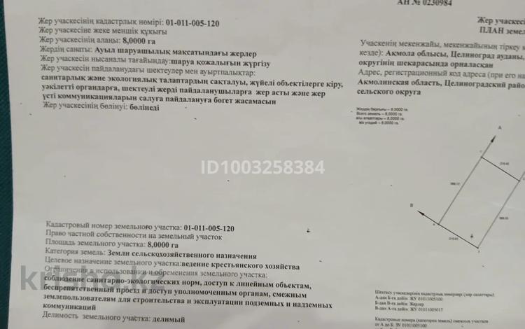 Участок · 8 га, Арайлы за 50 млн ₸ — фото 2