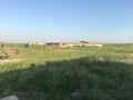 Сельское хозяйство · 1000 м² за 90 млн ₸ в Шымкенте, Абайский р-н — фото 14
