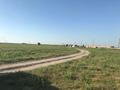 Сельское хозяйство · 1000 м² за 90 млн ₸ в Шымкенте, Абайский р-н — фото 3