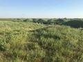Сельское хозяйство · 1000 м² за 90 млн ₸ в Шымкенте, Абайский р-н — фото 4