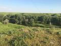 Сельское хозяйство · 1000 м² за 90 млн ₸ в Шымкенте, Абайский р-н — фото 5