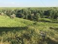 Сельское хозяйство · 1000 м² за 90 млн ₸ в Шымкенте, Абайский р-н — фото 7