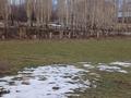 Участок · 20 соток, Ленгер за 15 млн ₸