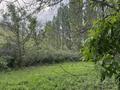 Жеке үй · 5 бөлме · 100 м² · 5000 жүзд., Толепбека Назарбекова 43 — Біргөлік ауылы леңгер каласы жағында таулы аймақта орналасқан, бағасы: 150 млн ₸ в Шымкенте — фото 12