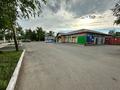 Свободное назначение · 342 м² за 150 млн ₸ в Костанае, Микрорайон Восточный — фото 5