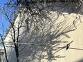 Отдельный дом · 3 комнаты · 80 м² · 5.2 сот., пгт Балыкши, Жазыкбаева 21 — Жазыкбаева, бывшая чимкентская за 26 млн 〒 в Атырау — фото 2