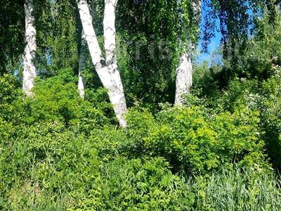 Участок · 2 га, Бобровка за 24.7 млн ₸