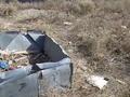 Жер телімі · 7.52 сотық, Түймебай 2 — ПКСТ Нур-Атакент, 2 линия, 2 участок, бағасы: 4 млн ₸ в Туймебая — фото 5
