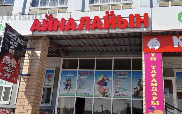 Еркін · 330 м², бағасы: 230 млн ₸ в Астане, Сарыарка р-н — фото 2