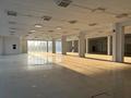 Свободное назначение · 3200 м² за 590 млн ₸ в Таразе — фото 10