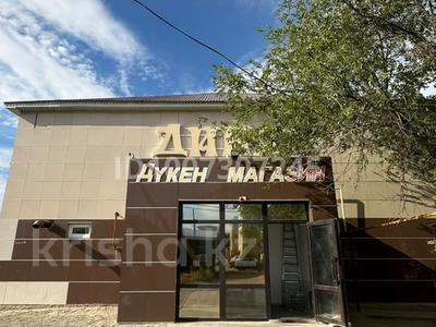 Магазины и бутики · 690 м² за 80 млн ₸ в Кандыагаш