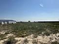 Участок · 1.5 га, Жанадаур — Байсерек (Көктерек) за 290 млн ₸ в Алатау — фото 10