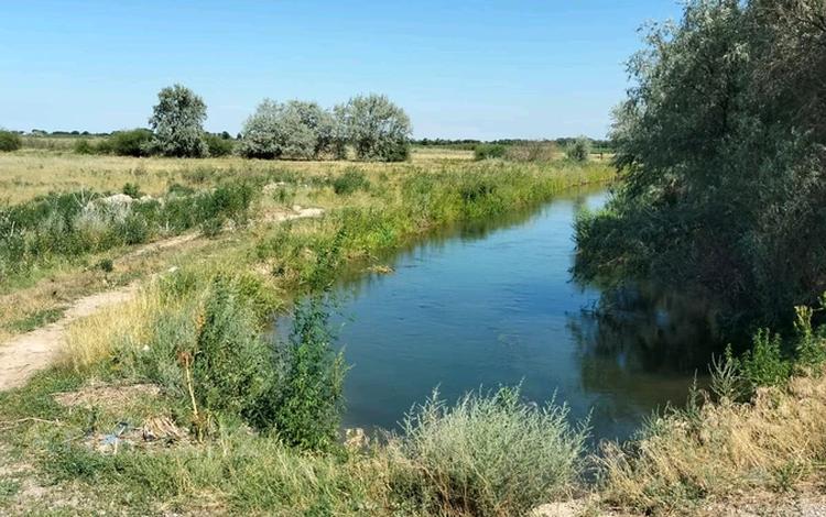 Жер телімі · 5 га, Нұра, бағасы: ~ 10 млн ₸ в Нура — фото 6