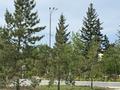 3-комнатная квартира · 102 м² · 1/5 этаж, Наурызбай батыра 78 за 46 млн ₸ в Кокшетау — фото 20