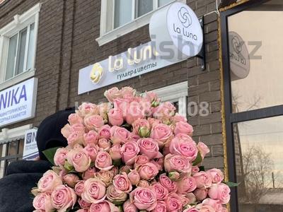 Цветочный бизнес · 80 м², бағасы: 8.5 млн 〒 в Кокшетау