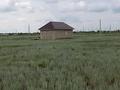Жер телімі · 10 сотық, Ақтөбе, бағасы: 2 млн ₸ в Актобе