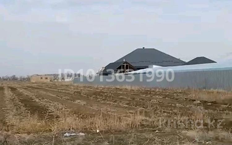 Жер телімі · 80 сотық, Коккайнар — 328/5, бағасы: 28 млн ₸ в Шамалгане — фото 2