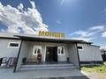 Бизнес с постоянным доходом · 500 м², бағасы: 90 млн ₸ в Нарынколе — фото 6