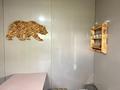 Бизнес с постоянным доходом · 500 м², бағасы: 90 млн ₸ в Нарынколе — фото 14