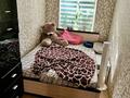 3-комнатная квартира · 52 м² · 2/3 этаж, Шашкина 8 за 41.9 млн ₸ в Алматы, Бостандыкский р-н — фото 9