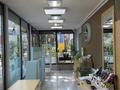 Nature Republic 6 магазинов · 1000 м², бағасы: 550 млн ₸ в Алматы, Медеуский р-н — фото 4