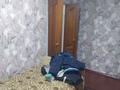 2-бөлмелі пәтер · 40 м² · 2/5 қабат, Каржаубайулы 320/1 — Общества слепых, бағасы: 14.3 млн ₸ в Семее — фото 2