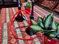 Дом · 4 комнаты · 250 м², ул уштобинская 20 за 100 000 ₸ в Алматы, Медеуский р-н — фото 9