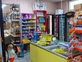 Магазины и бутики • 270.7 м² за 201 млн 〒 в Алматы, Жетысуский р-н — фото 27