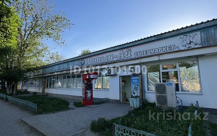 Магазины и бутики, общепит, салоны красоты, медцентры и аптеки · 600 м² за 110 млн ₸ в Таскала — фото 2