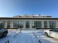 Жер телімі · 5.75 сотық, 6 линия 13 — Декоративная, бағасы: 18 млн ₸ в Семее — фото 14