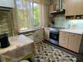 3-комнатная квартира · 59 м² · 2/5 этаж, Добролюбова 37 за 19.6 млн ₸ в Усть-Каменогорске — фото 7