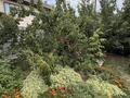 Жеке үй · 5 бөлме · 180 м² · 6 жүзд., 20 квартал 57, бағасы: 60 млн ₸ в Кемертогане — фото 19