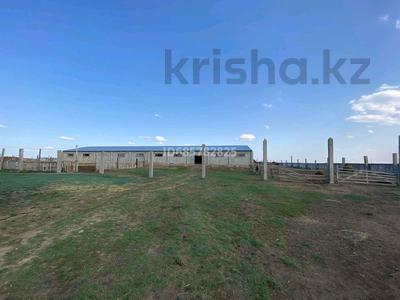 Продажа коммерческой недвижимости в Акмолинской обл.: Сельское хозяйство · 400 м² за 175 млн 〒 Сельское хозяйство · 400 м² за 175 млн 〒 в Степногорске