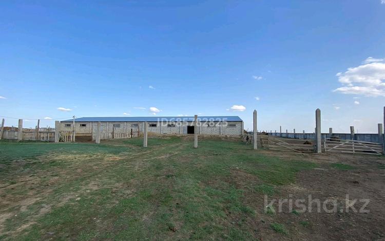 Ауыл шаруашылығы · 400 м², бағасы: 180 млн ₸ в Степногорске — фото 2