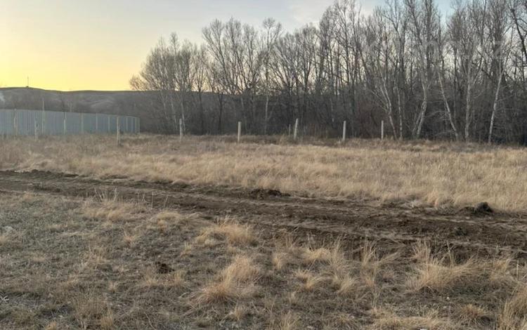 Жер телімі · 12 сотық, Садоводческий коллектив ягода, бағасы: 5 млн ₸ в Актобе — фото 2