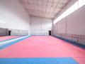 Спорткомплекс · 800 м², бағасы: ~ 387.8 млн ₸ в  — фото 22