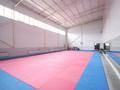 Спорткомплекс · 800 м², бағасы: ~ 387.8 млн ₸ в  — фото 23