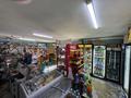 Магазины и бутики · 110 м² за 85 млн 〒 в Алатау — фото 7