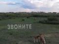 Участок · 1.5 га, Жибек жолы за 80 млн ₸